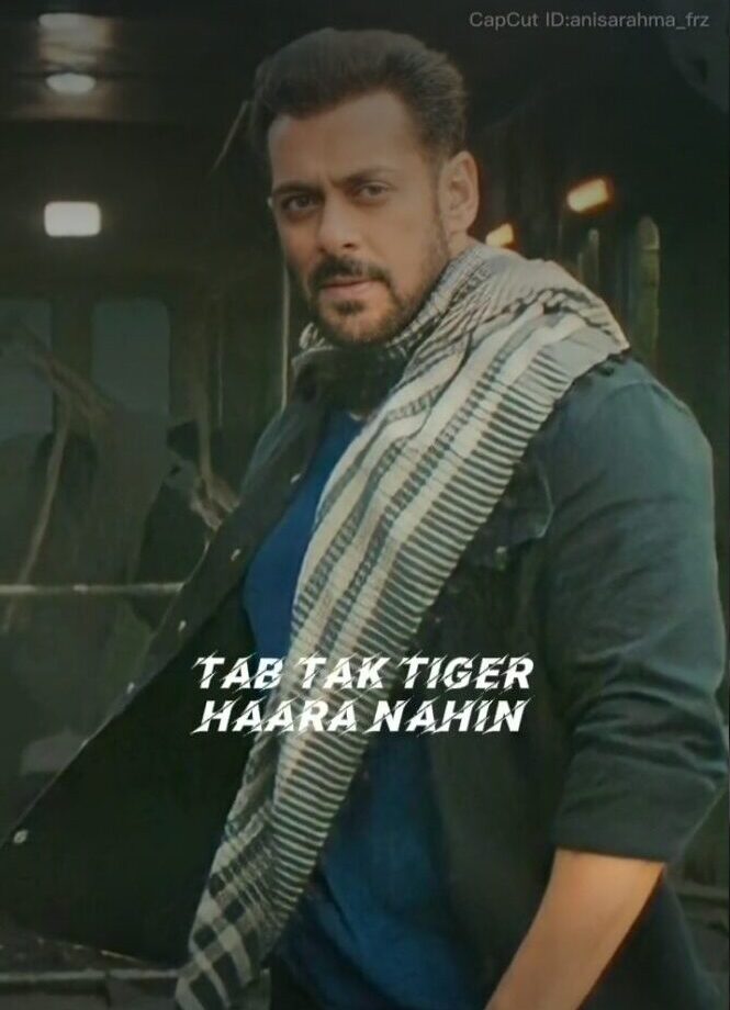 Tiger 3 CapCut Template