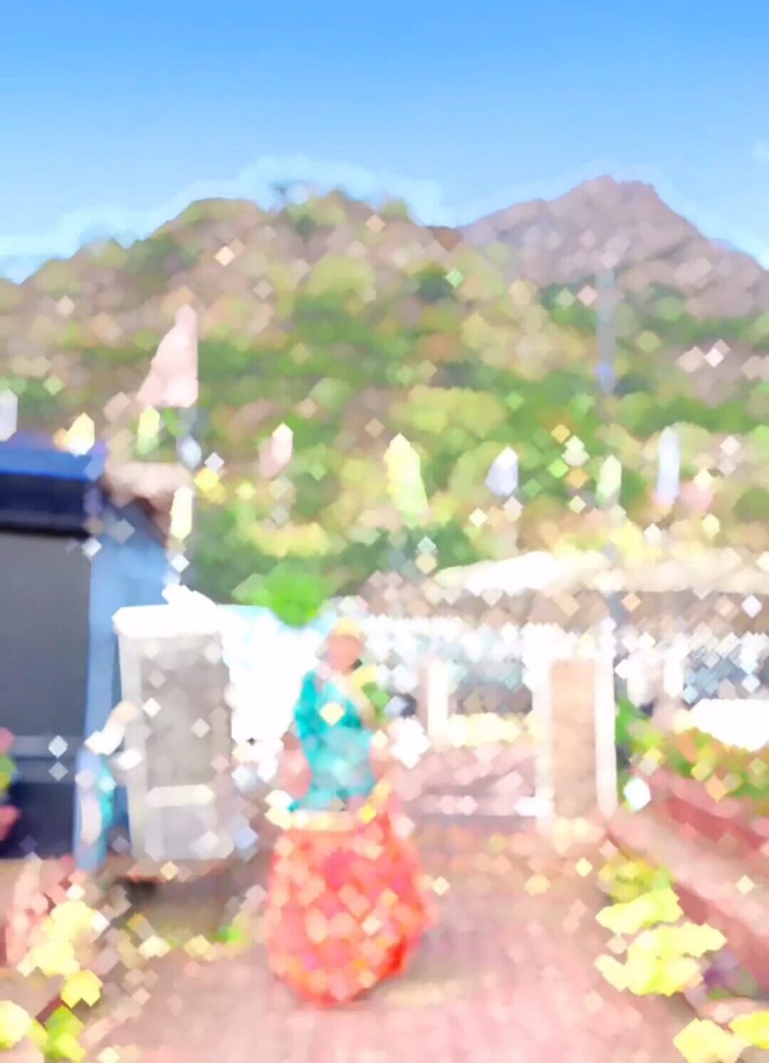 Desi Desi Na Bolya Kar CapCut Template