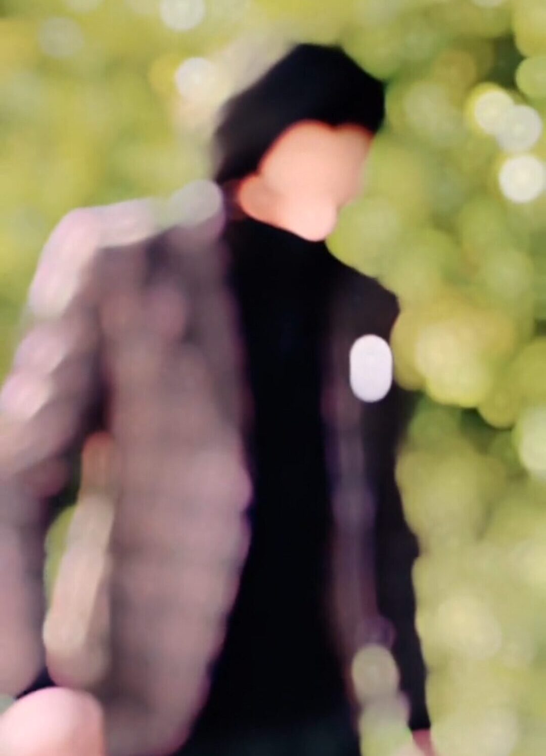 Ve Haaniyaan CapCut Template