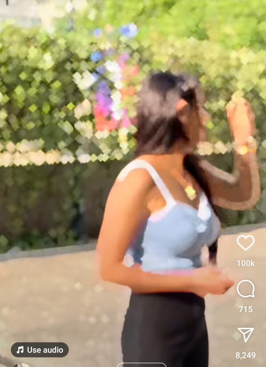 Mere Dil Di Gali Vich CapCut Template