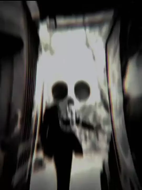 Mai Bar Bar Tanha CapCut Template