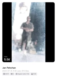 I REALLY MEAN IT CapCut Templates