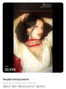 Punjabi Kompa CapCut Template Link