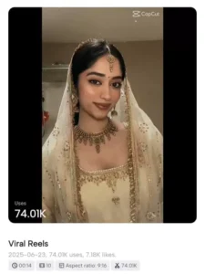 Punjabi Kompa CapCut Templates
