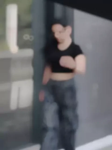 Punjabi Dialogue Capcut Template