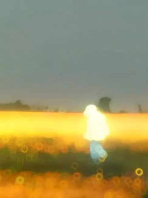 Bewafa Hunde Ne Capcut Template