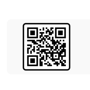 Chhath Puja Vn Code Template Qr
