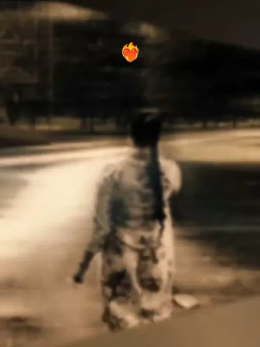 Meme Funk Capcut Template