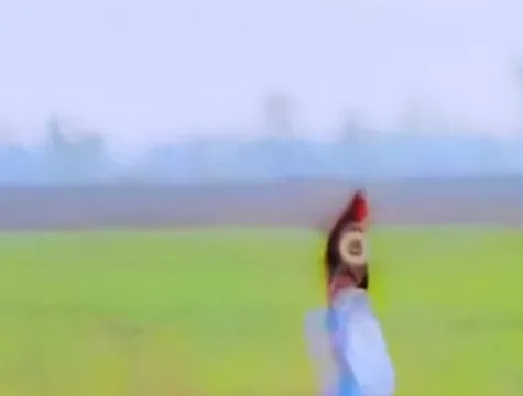 Sharam Haya CapCut Template (3)